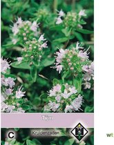 Van Hemert - Tijm (Thymus vulgaris)
