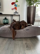 Dog's Companion hondenkussen - L - 115 x 85 cm - Stone washed pale brown