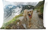 Buitenkussens - Tuin - Een Golden Retriever op de bergpaden bovenop een berg - 60x40 cm