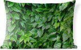 Buitenkussens - Tuin - Groene bladeren - 60x40 cm