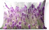 Buitenkussens - Tuin - Close up van zonovergoten lavendelveld - 60x40 cm