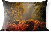 Buitenkussens - Tuin - Mist in het Nationaal park New Forest in Engeland - 50x30 cm