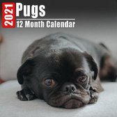 Calendar 2021 Pugs