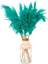 Pampas Pluimen - Droogbloemen - 5 stuks - Turquoise - Pampas Gras - Fluffy Pluimen - 90cm