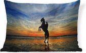 Sierkussen Paarden pour l'intérieur - Silhouette d'un cavalier sur un cheval au coucher du soleil - 60x40 cm - Coussin intérieur rectangulaire en coton