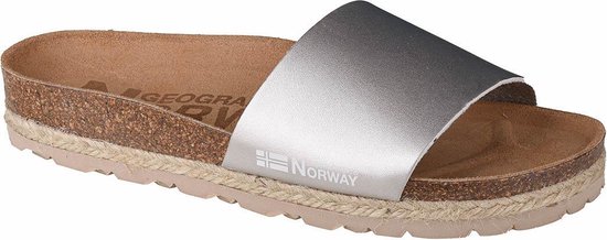 Geographical Norway Sandalias Baja Verano GNW20406-26, Femme, Argent, chaussons, taille: 37 EU
