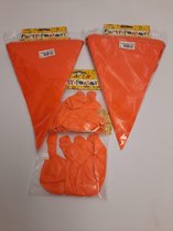 VERSIERING ORANJE, 2 VLAGGENLIJNEN EN 20 BALLONNEN