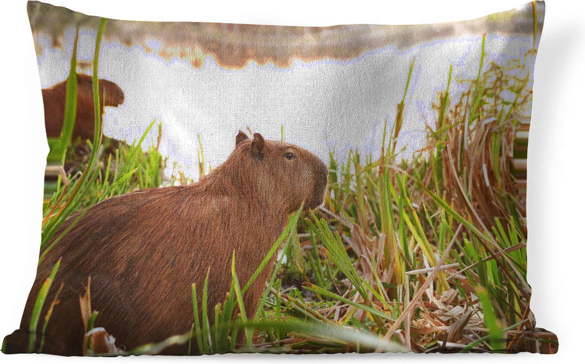 Capibara