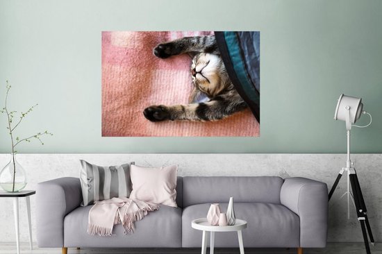 Chat qui dort sur un tapis 180x120 cm XXL / Groot format!
