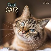 Cool Cats 2022