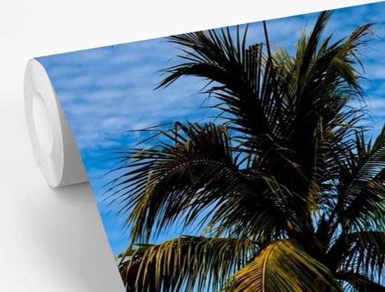 Papier peint vinyle - Vue de la plage des îles de la baie d'Amérique du Nord au Honduras largeur 450 cm x hauteur 300 cm - Tirage photo sur papier peint (disponible en 7 tailles)