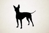 Silhouette hond - American Hairless Terrier - Amerikaanse haarloze terriër - M - 66x60cm - Zwart - wanddecoratie