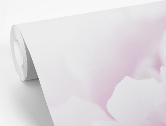 Papier peint Papier peint photo en vinyle - Gros plan d'une pivoine rose largeur 330 cm x hauteur 220 cm - Tirage photo sur papier peint (disponible en 7 tailles)