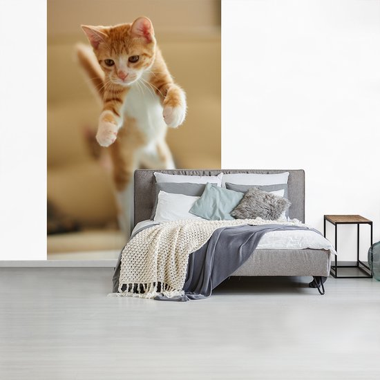 Papier peint photo vinyle - Un gros plan d'un chaton sautant largeur 190 cm x hauteur 280 cm - Tirage photo sur papier peint (disponible en 7 tailles)