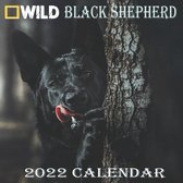 Black Shepherd Calendar 2022