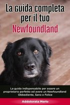 La Guida Completa per Il Tuo Newfoundland