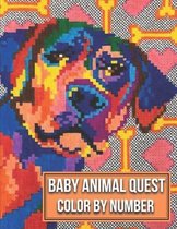 Baby Animal Quest Color By Number