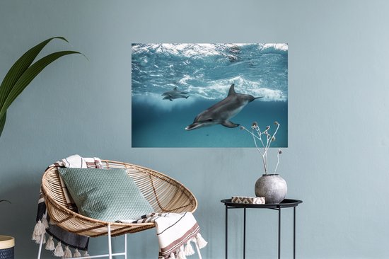 Sticker Muursticker Dauphin - Dauphins nageant près des Bahamas - 60x40 cm - film adhésif autocollant - sticker mural repositionnable