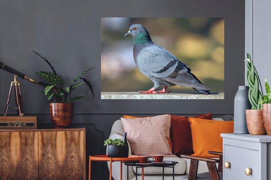 Muursticker Duif - Pigeon abut coloré - 120x80 cm - feuille adhésive adhésive - stickers muraux repositionnables