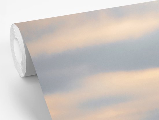 Vue aérienne de la Tour Eiffel à Paris 420x280 cm