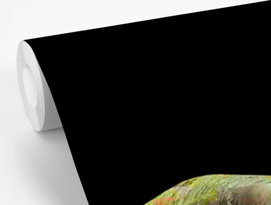 Behang - Fotobehang Olifant - Verf - Zwart - Breedte 225 cm x hoogte 350 cm