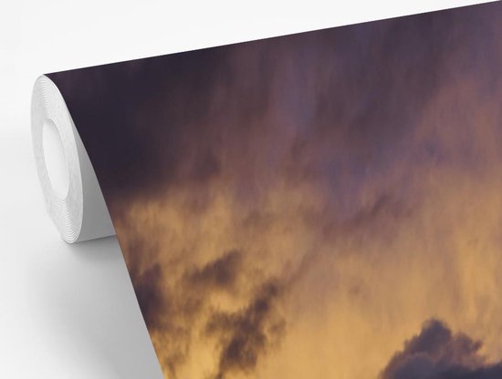 Champ de fleurs dans les montagnes Rocky au crépuscule 170x260 cm