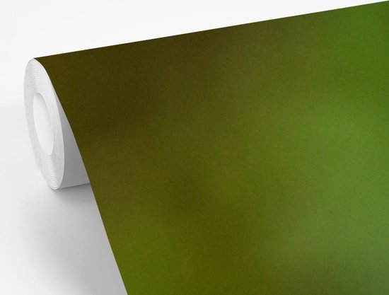 Papier peint Papier peint photo en vinyle - Grenouille ara aux yeux rouges dans la jungle largeur 330 cm x hauteur 220 cm - Tirage photo sur papier peint (disponible en 7 tailles)