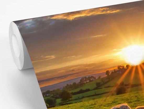 Papier peint photo peint vinyle - Coucher de soleil sur un troupeau de vaches largeur 390 cm x hauteur 260 cm - Tirage photo sur papier peint (disponible en 7 tailles)