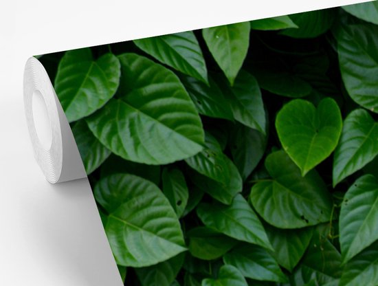Papier peint Papier peint photo en vinyle - Feuilles vertes largeur 330 cm x hauteur 220 cm - Tirage photo sur papier peint (disponible en 7 tailles)