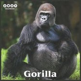 Gorilla 2021 Calendar