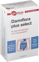 Dr. Wolz Darmflora Plus Select 80 caps | Darmslijmvlies en betere opname van voedingstoffen | 8 soorten melkzuur | Duits nr1 probiotica