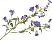 Silk-ka Zijden Bloem-Kunst Bloem Campanula Tak Paars Lengte 92 cm