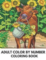 Adult Color By Number Coloring Book: Adult Color By Number Coloring Book