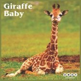 Baby Giraffe 2021 Calendar