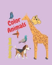 Color Animal Coloring book