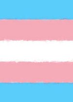 Transgender Pride Flag Sketchbook