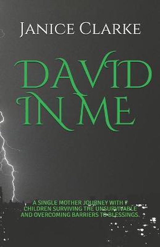 David in Me - cover