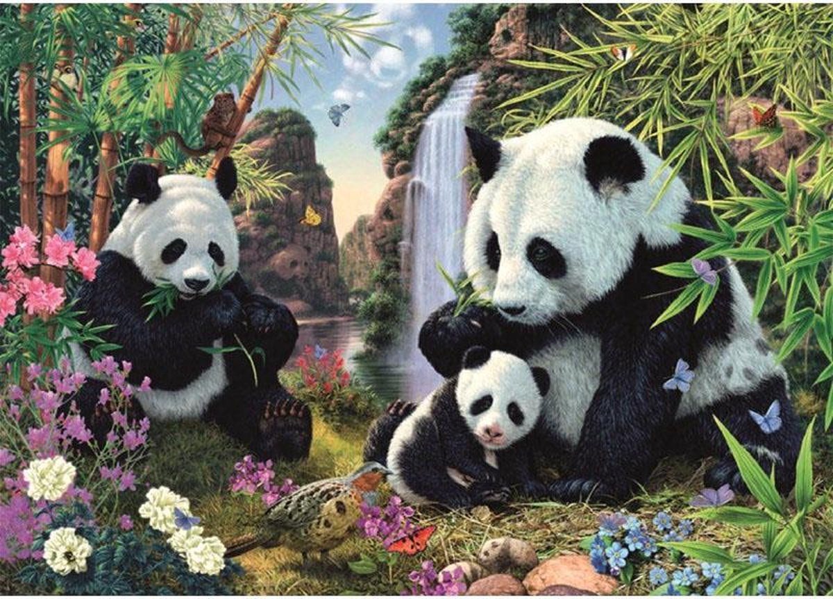 Doe herleven visie Aanzienlijk Puzzel met geheimen: Panda 1000 stukjes | bol.com