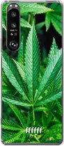 6F hoesje - geschikt voor Sony Xperia 1 III -  Transparant TPU Case - Mary Jane #ffffff