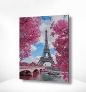 Painting Expert® Schilderen op nummer Volwassenen - Schilderen op nummer Kinderen - Parijs met Roze Bomen - 40x50cm - Exclusief Lijst (24 kleurtjes)