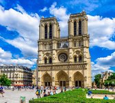 Kathedraal van de Notre-Dame in centrum van Parijs - Fotobehang (in banen) - 450 x 260 cm