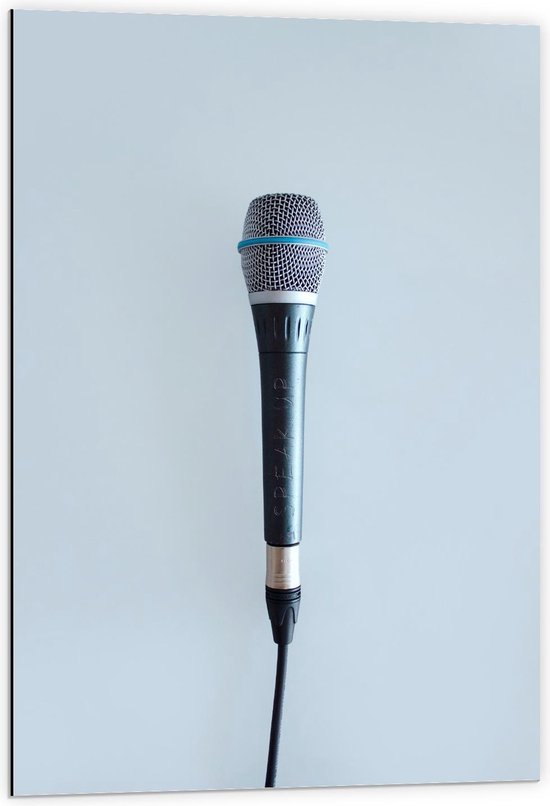 Dibond - Microfoon aan Draad - 60x90cm Foto op Aluminium (Met  Ophangsysteem) | bol.com