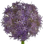 Fabulous Flowers - alliumbol Ø 12 cm paars - kunst allium