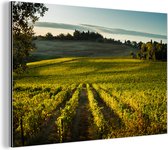 Wanddecoratie Metaal - Aluminium Schilderij Industrieel - Toscane - Landschap - Wijn - 90x60 cm - Dibond - Foto op aluminium - Industriële muurdecoratie - Voor de woonkamer/slaapkamer