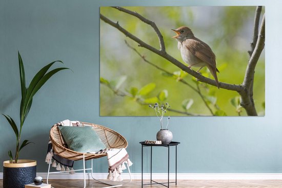 Tableau sur toile Rossignol chantant sur une branche - 150x100 cm - Décoration murale