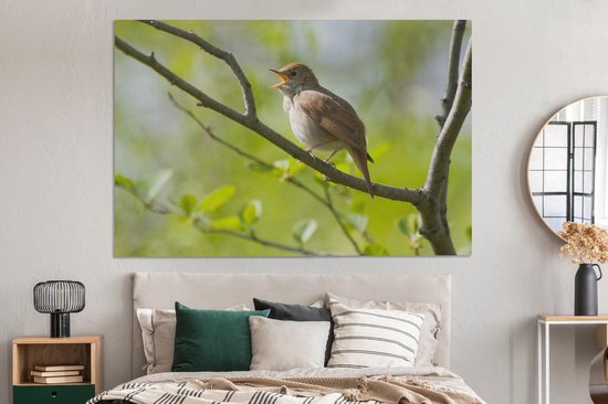 Tableau sur toile Rossignol chantant sur une branche - 150x100 cm - Décoration murale