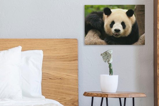 Canvas schilderij 30x20 cm - Wanddecoratie Dieren - Panda - Bomen - Muurdecoratie woonkamer - Slaapkamer decoratie - Kamer accessoires - Schilderijen op canvas