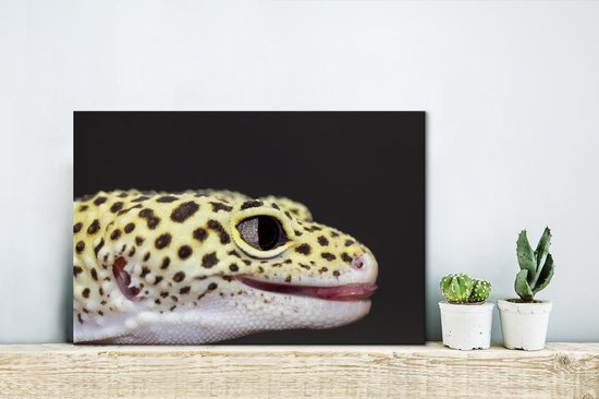 Gros plan sur toile gecko léopard 2cm 30x20 cm - petit - Tirage photo sur toile (Décoration murale salon / chambre) / Animaux sauvages Peintures sur toile