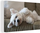 Canvas schilderij 180x120 cm - Wanddecoratie Hond die ligt op de bank - Muurdecoratie woonkamer - Slaapkamer decoratie - Kamer accessoires - Schilderijen