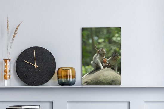 Singe avec toile de ramboutan 2cm 20x30 cm - petit - Tirage photo sur toile (Décoration murale salon / chambre)